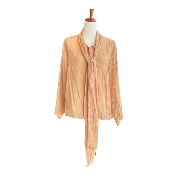 Zara Crinkle Blouse Sheer Romantic Spring Coastal Chic - Picture 15 of 15